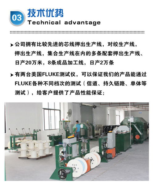 高效專業(yè) 東莞八芯網(wǎng)線生產(chǎn)工廠的快速發(fā)貨與咨詢服務(wù)