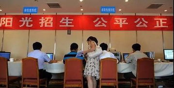 高招錄取正式啟動(dòng) 石家莊市咨詢服務(wù)站電話公布，助力考生獲取關(guān)鍵信息